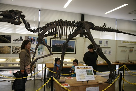 恐竜骨格