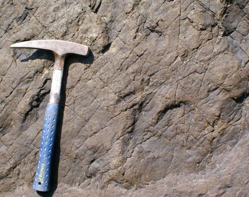 いくさが浦海岸恐竜化石発見地
