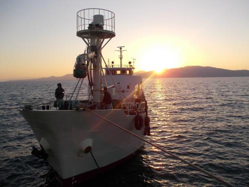 スマホでパチリ 双栄丸