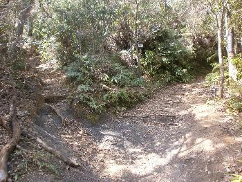 次郎丸岳登山分岐点
