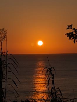 スマホでパチリ