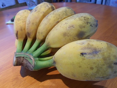 banana 002