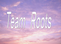 Team ROOTS