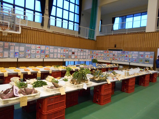 体育館展示