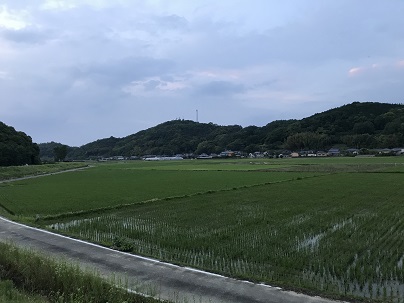 5月25日