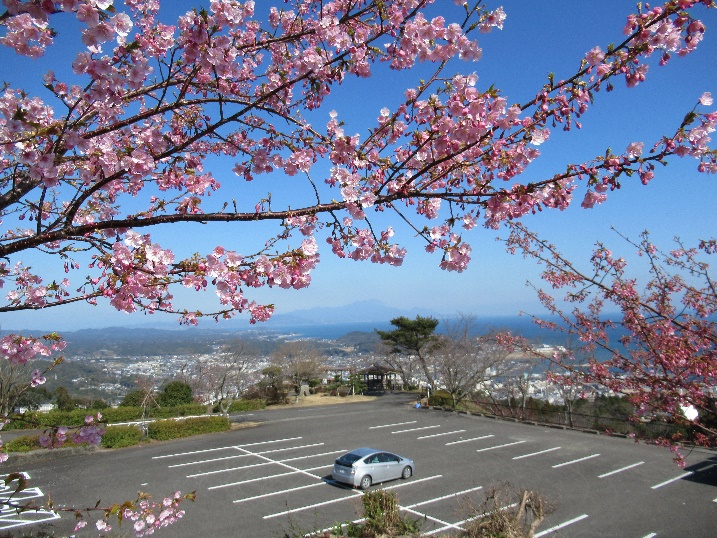 02南地区