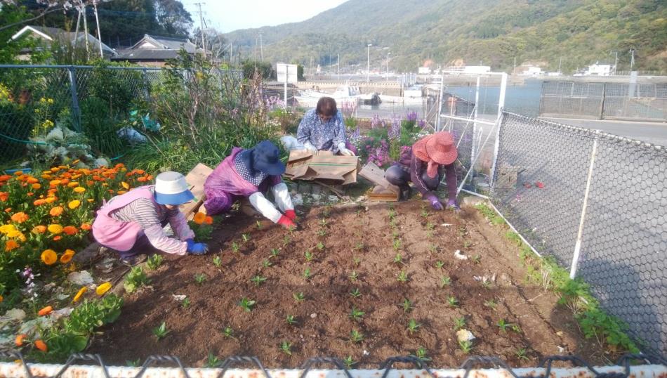 花いっぱい運動