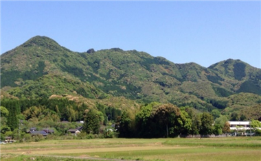 新合1