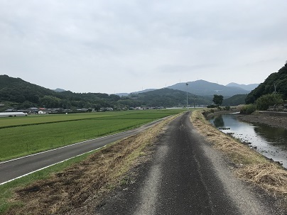 ひがん花ロード　清掃後