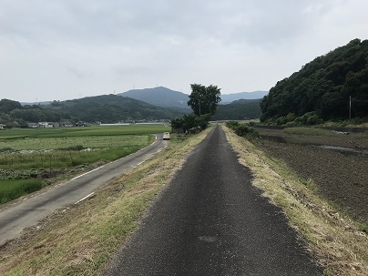 ひがん花ロード　清掃後　２