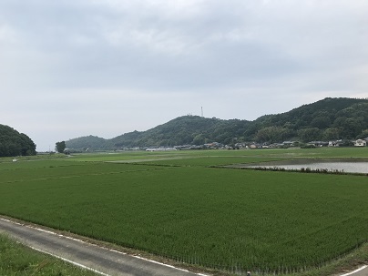 今日の景色