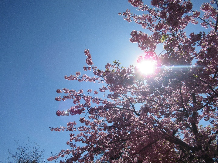04南地区
