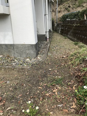 裏の方