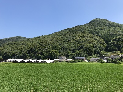 山浦　２