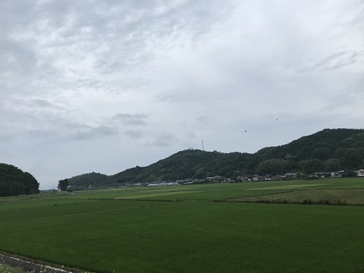いつもの　２