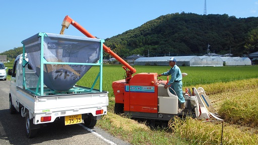 ひろつぐ　籾