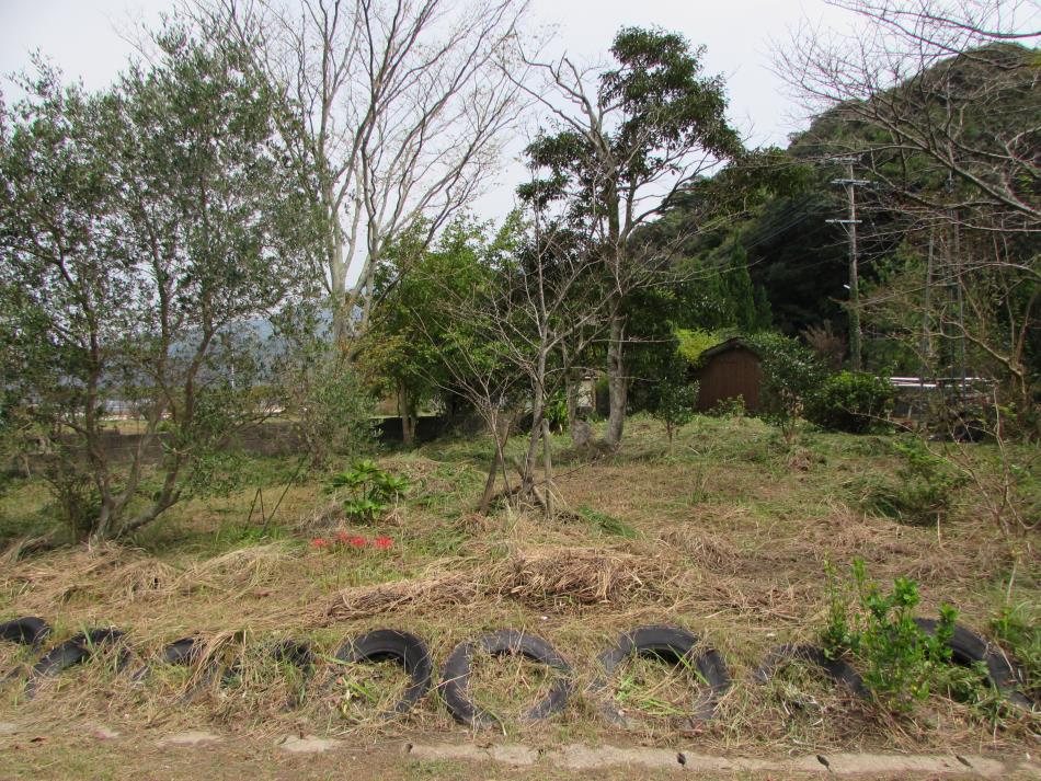 清掃作業