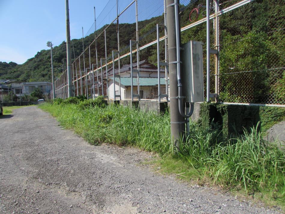 清掃作業