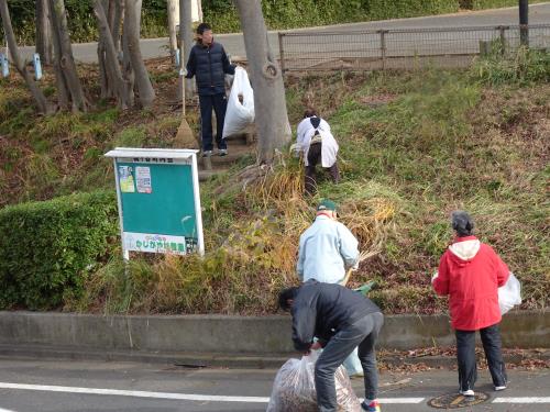 公園の清掃