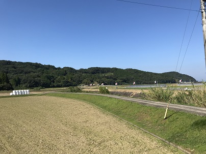 日の丸