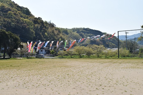遠くから