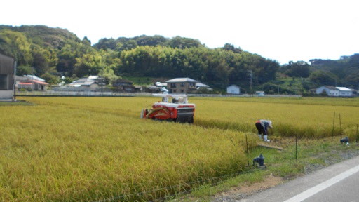 秋太郎　２０１９　１