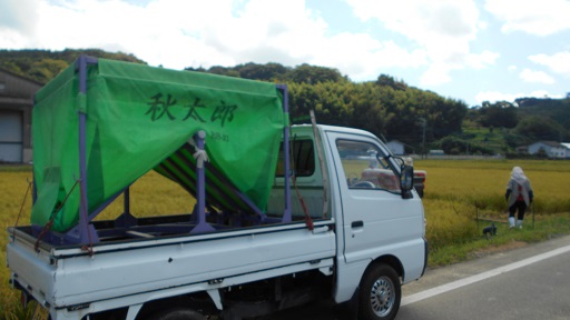 秋太郎　２０１９　２