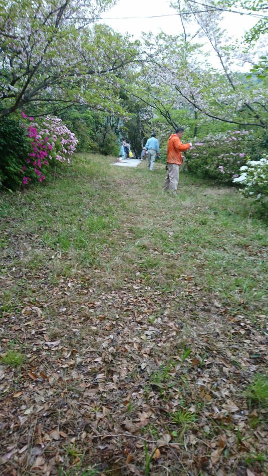 花見会
