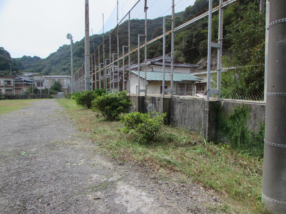 清掃作業