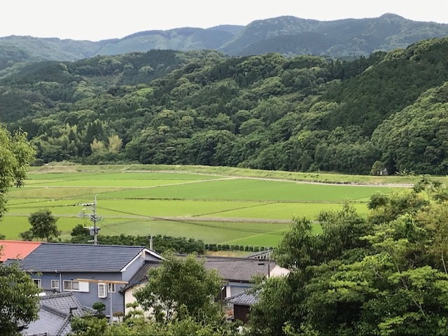 現在の七つ江