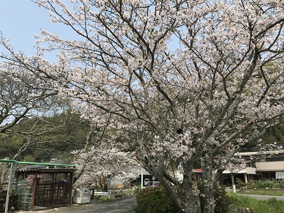 ビフォーアフター