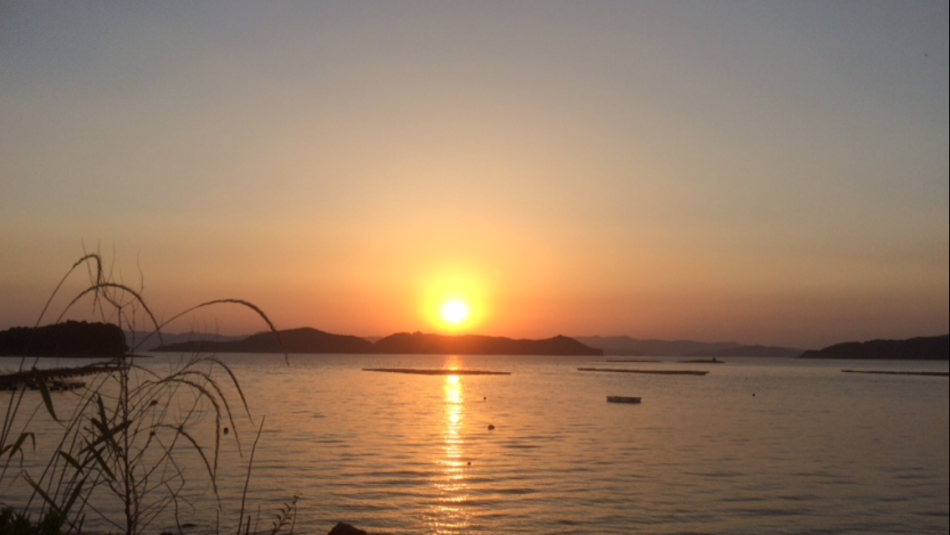 夕日