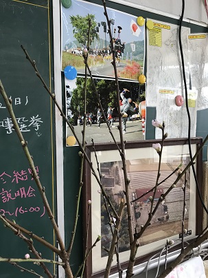 桃の蕾
