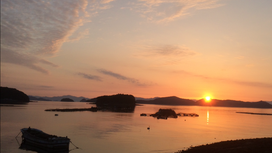夕日