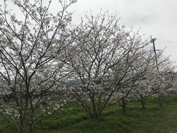 プールのとこ