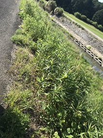 密です５