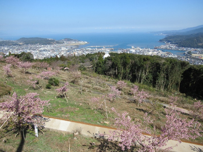 01南地区