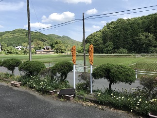 モップ