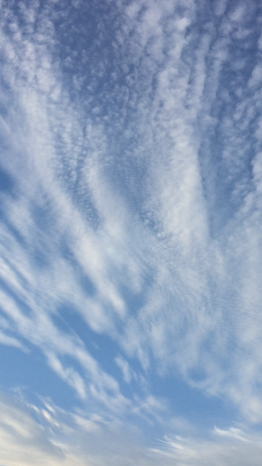 雲