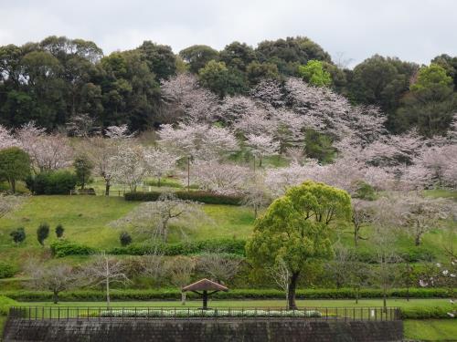 西の久保公園