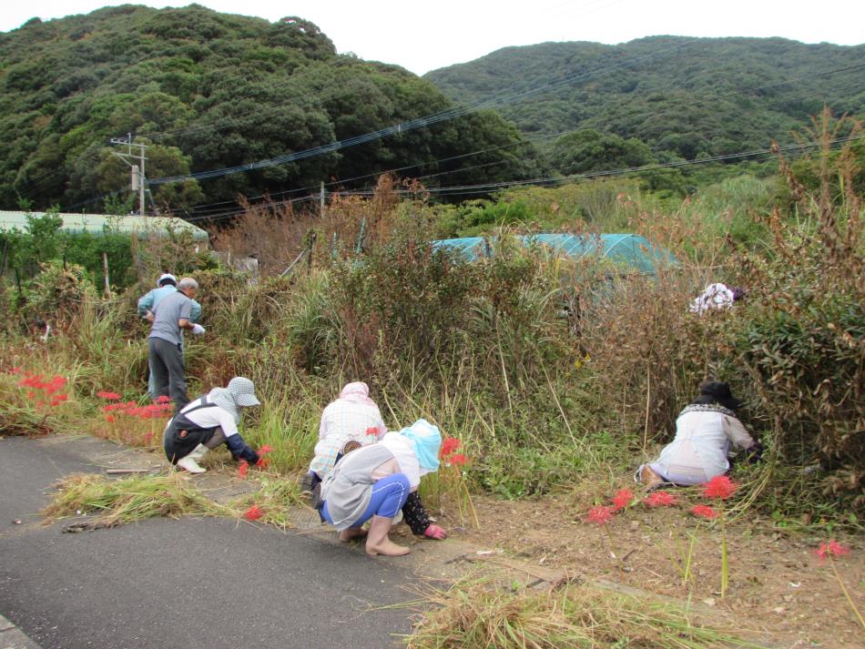 清掃作業