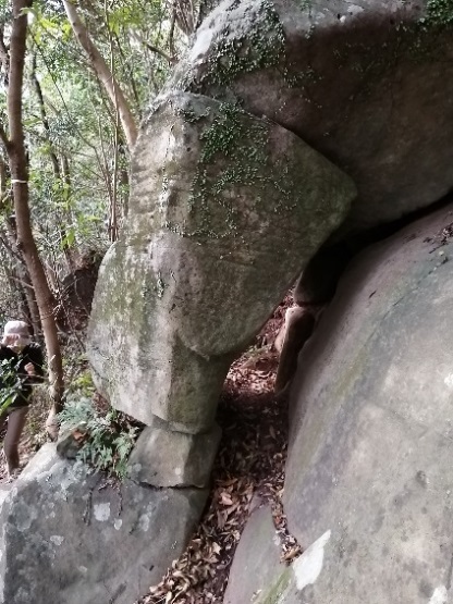 久玉　親孝行ならくぐれます