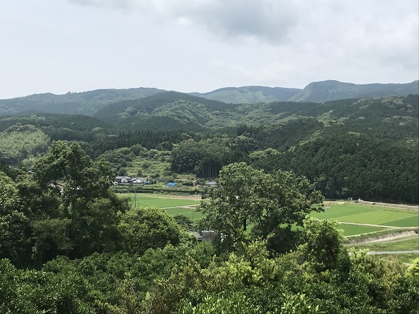 現在の七つ江