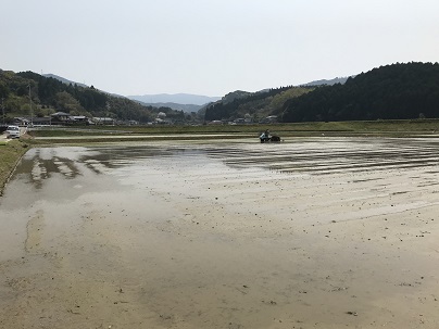 R2田植え１