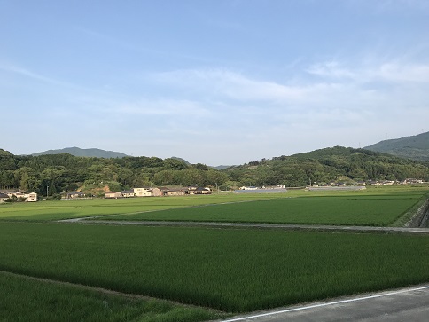 のどかな下津浦