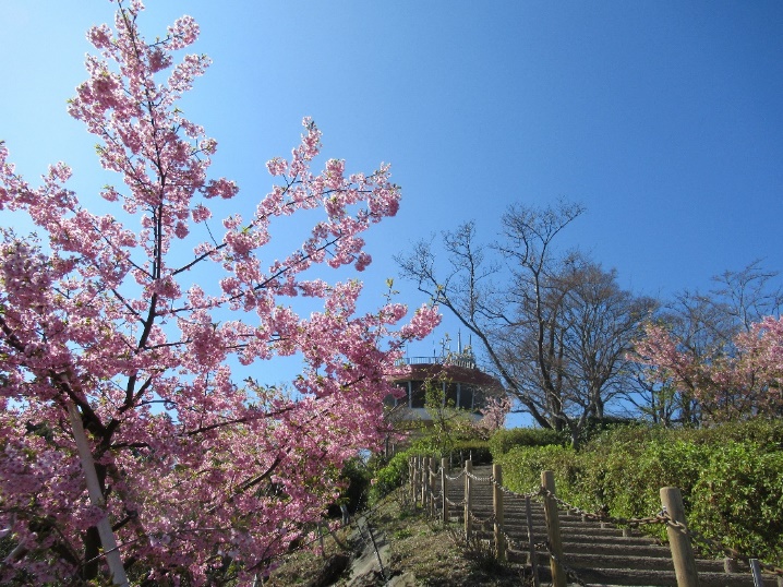 03南地区