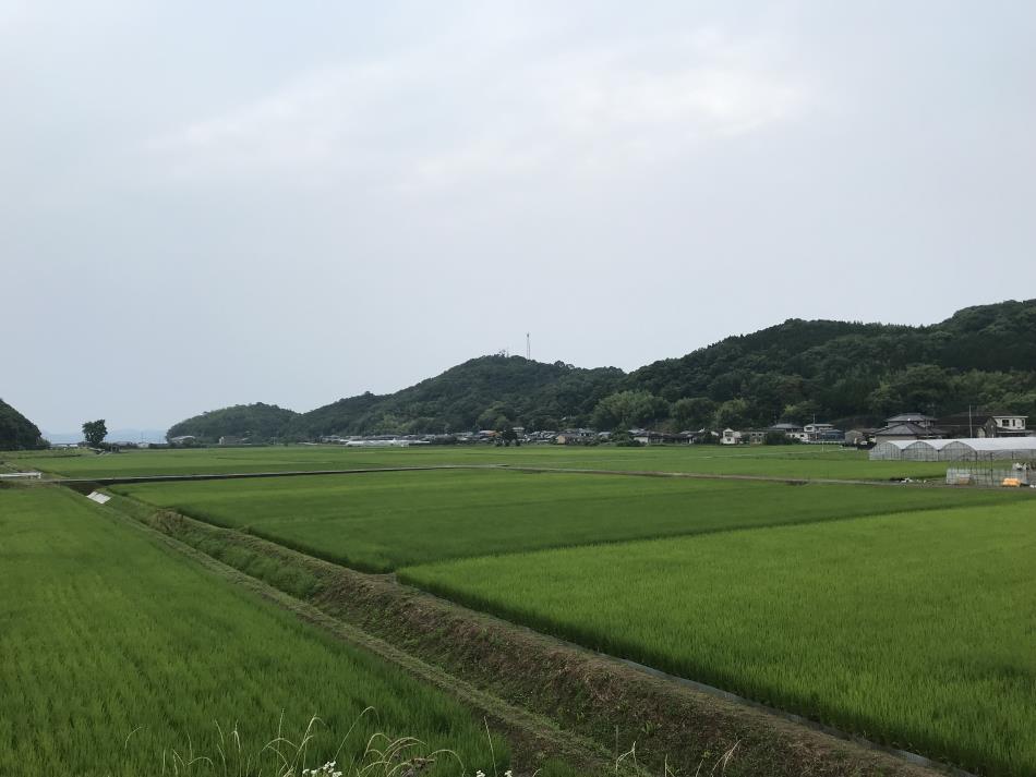 梅雨下