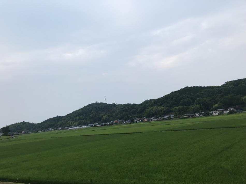 梅雨下２