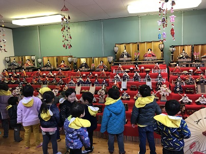 見学ウサギ
