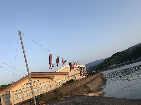 絡まりとれた鯉